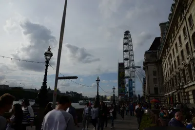 DSC_2813 (Large).JPG